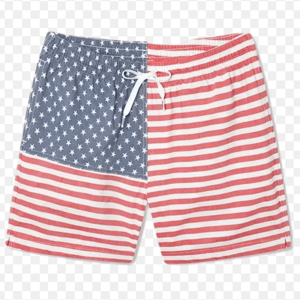 Chubbies The Mericas Swim Trunks sz L - Picture 2 of 8